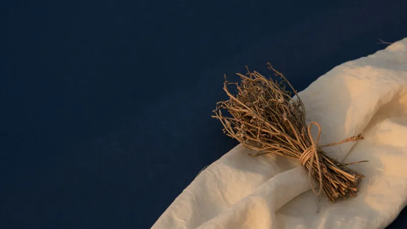 Small bundle of dried root tied with twine on linen in evening light