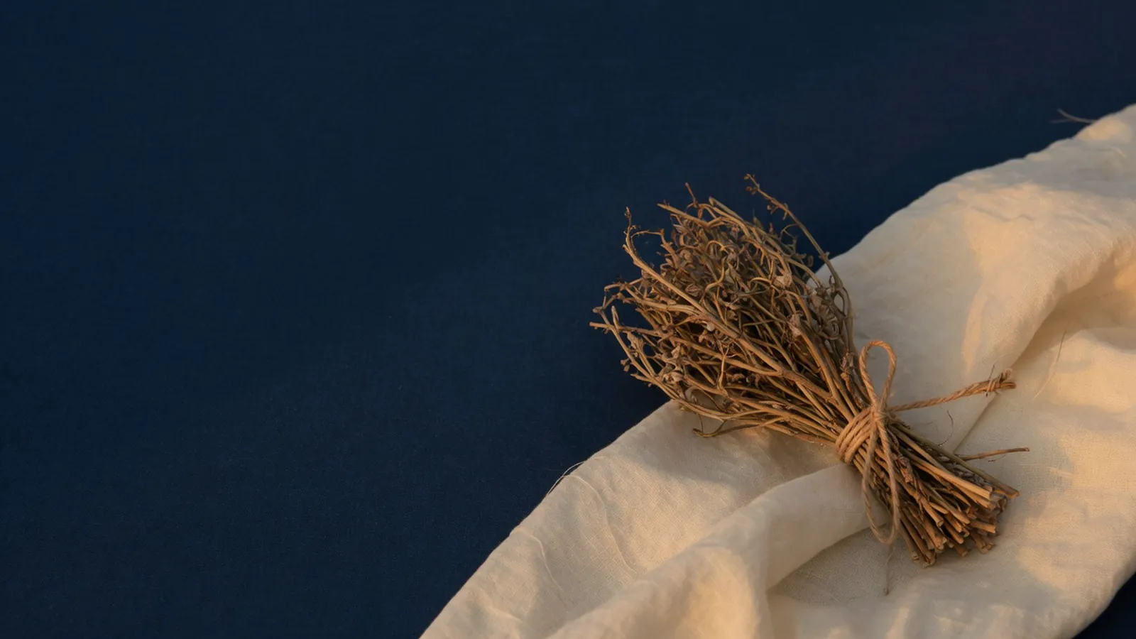 Small bundle of dried root tied with twine on linen in evening light